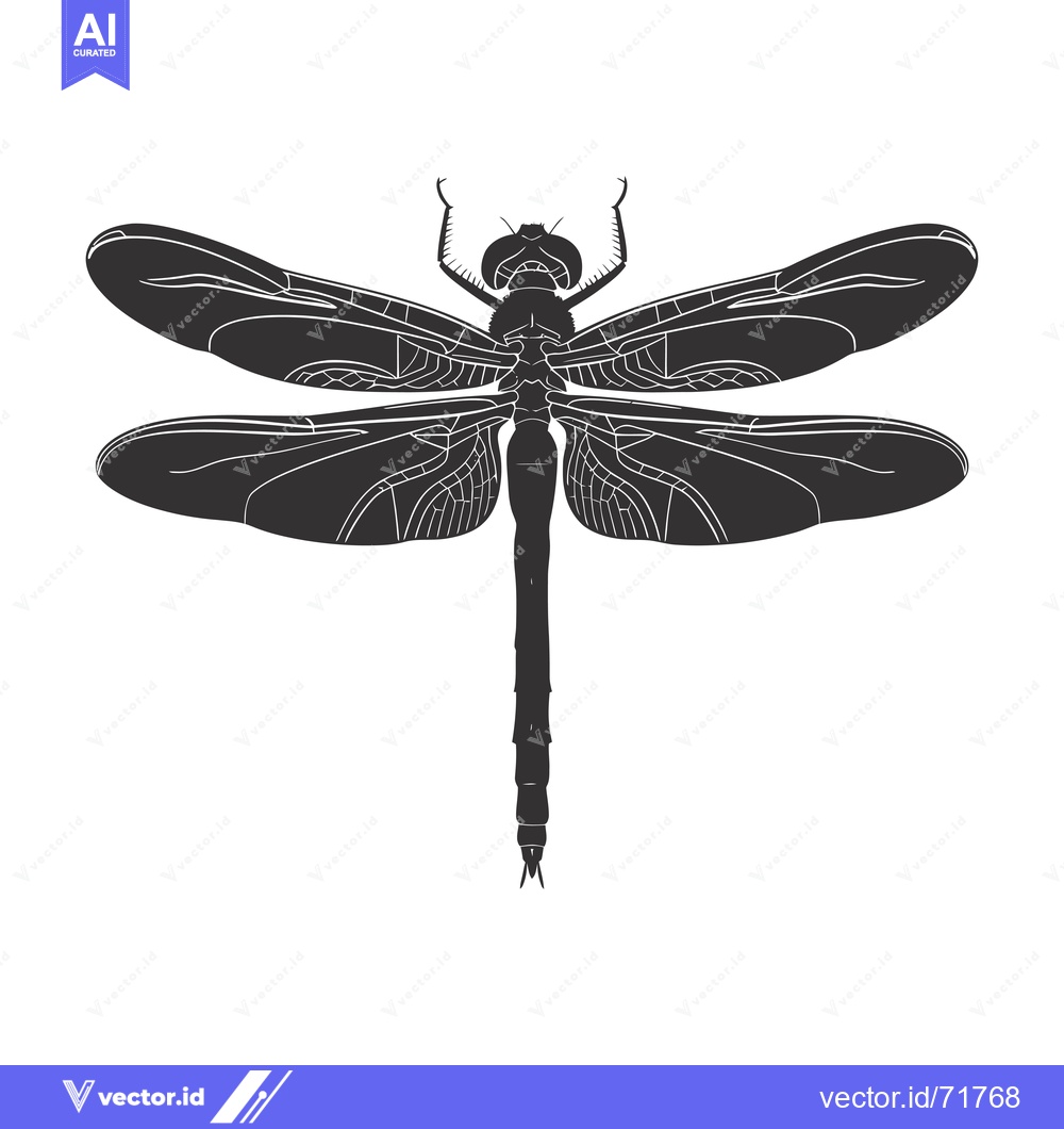 Premium Vector of Black and White Silhouette of a Dragonfly with Detailed Veins on Its W