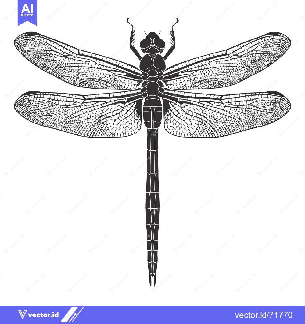 Premium Vector of Black and White Silhouette of a Dragonfly with Detailed Veins