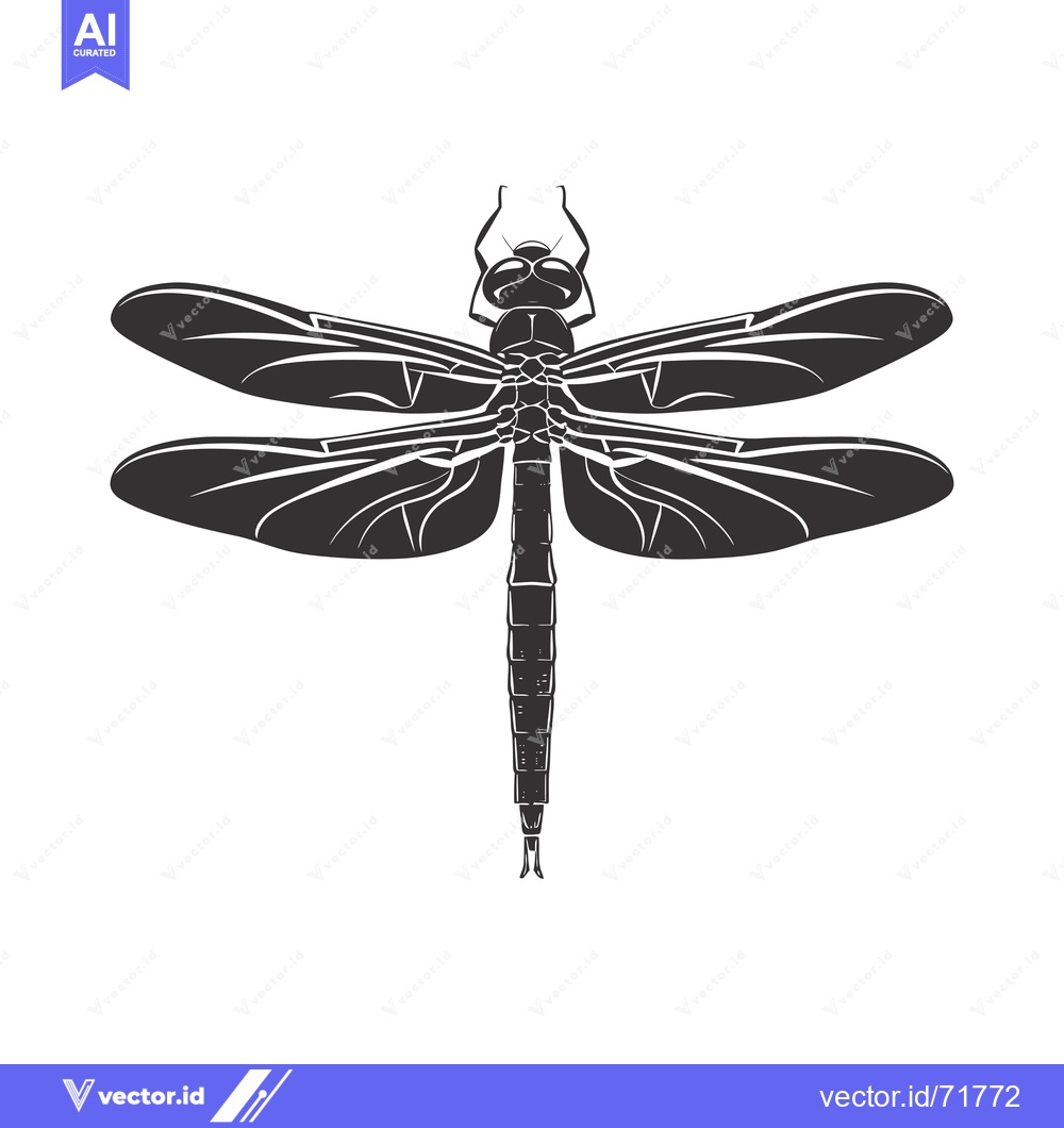 Premium Vector of Black and White Silhouette of a Dragonfly with Spread Wings