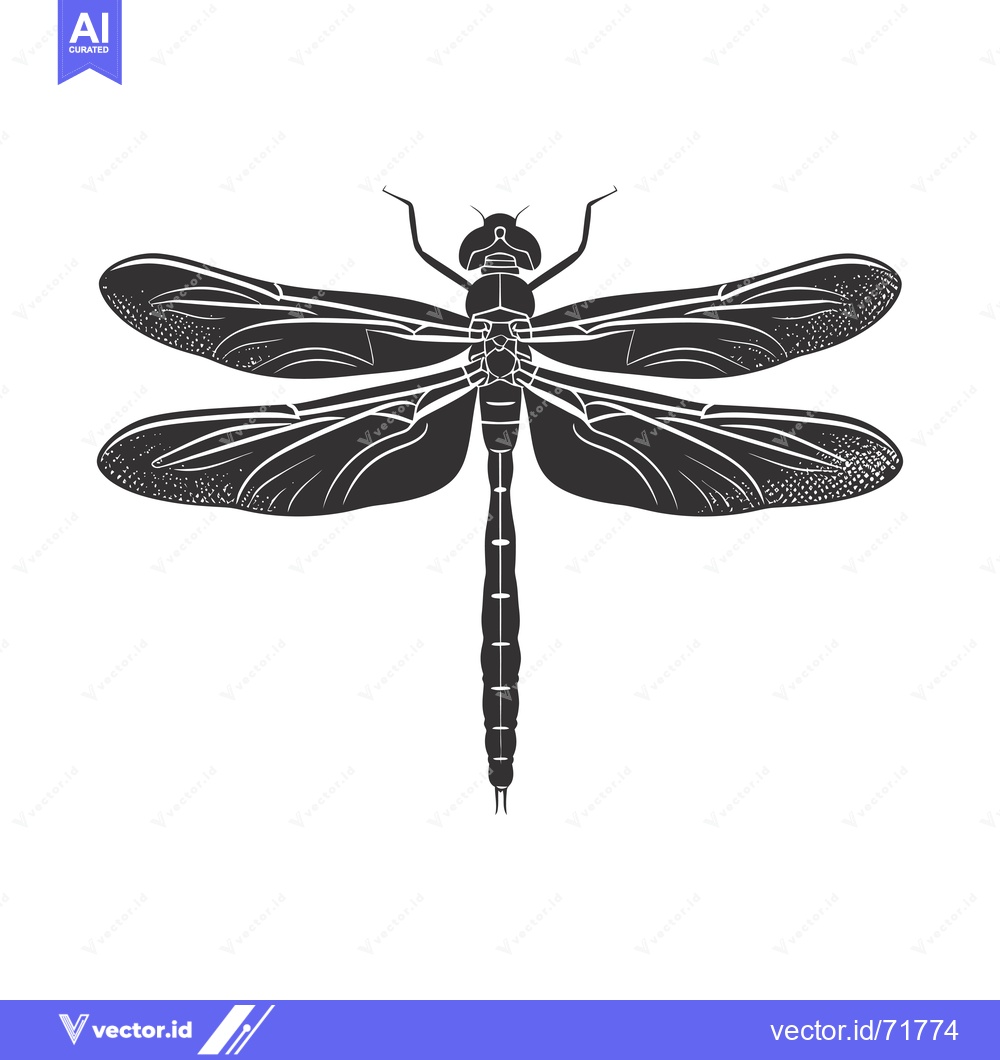 Premium Vector of Black and White Illustration of a Dragonfly
