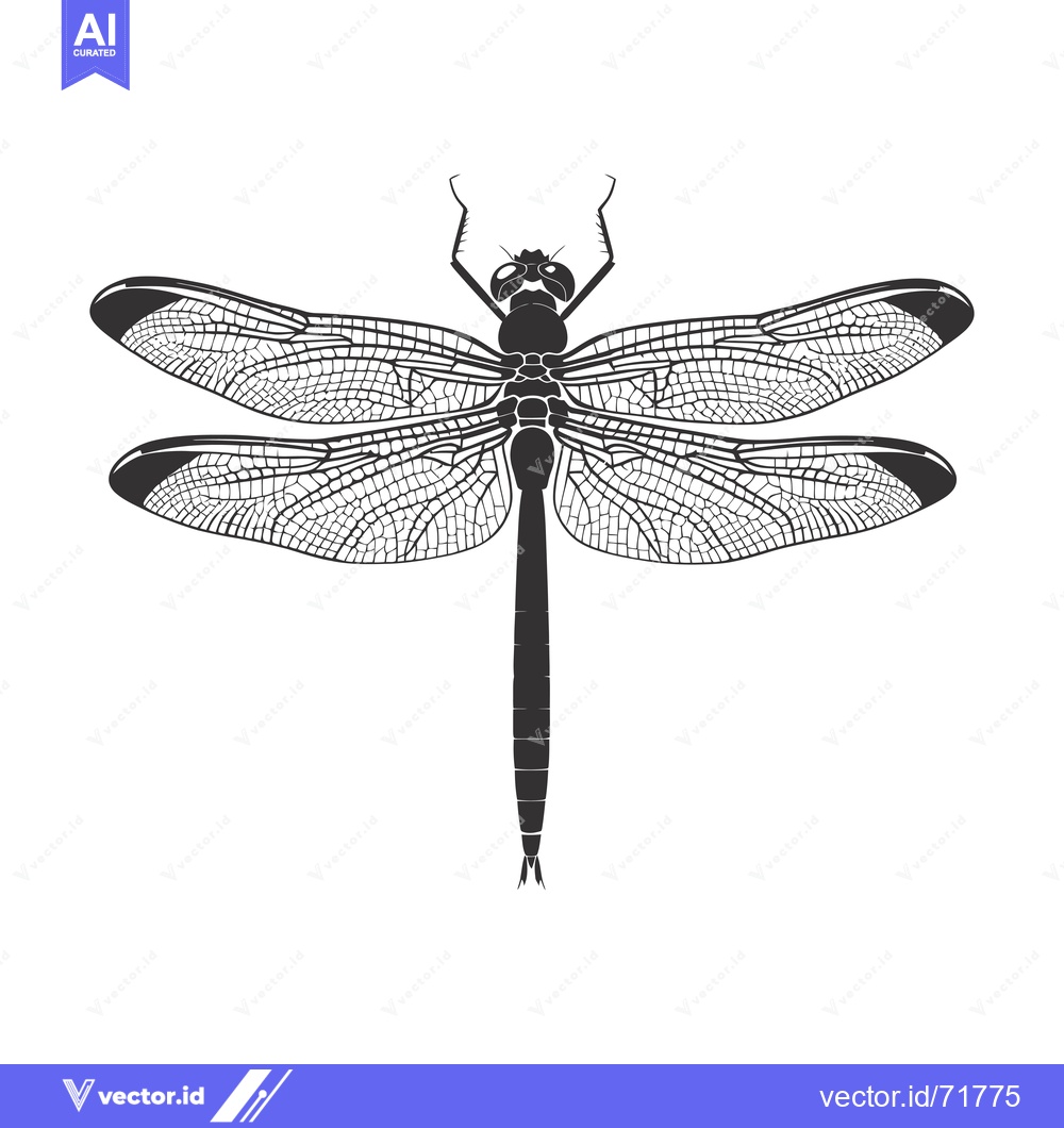 Premium Vector of Black and White Silhouette of a Dragonfly with Spread Wings