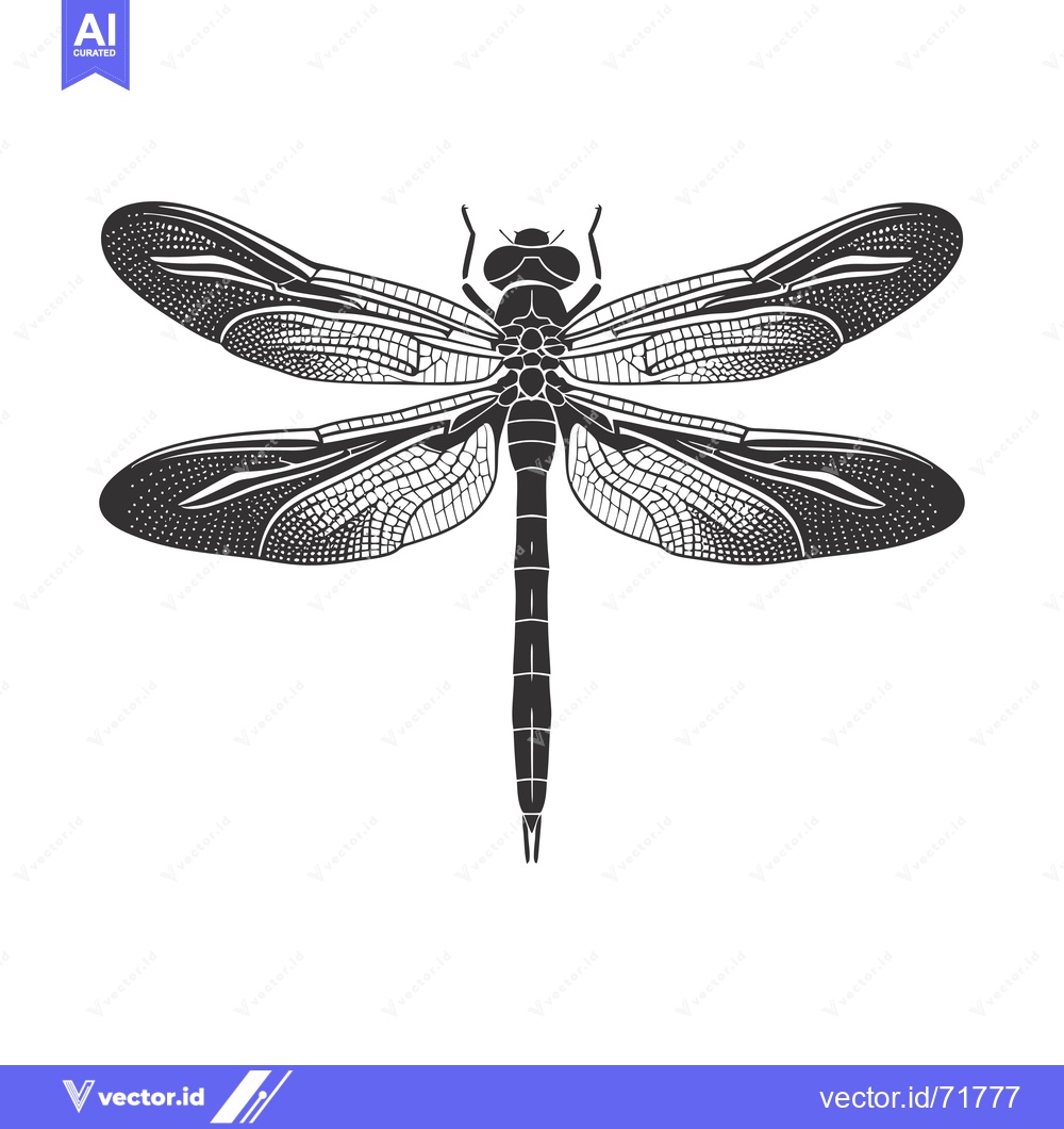 Premium Vector of Black and White Illustration of a Dragonfly with Detailed Wings
