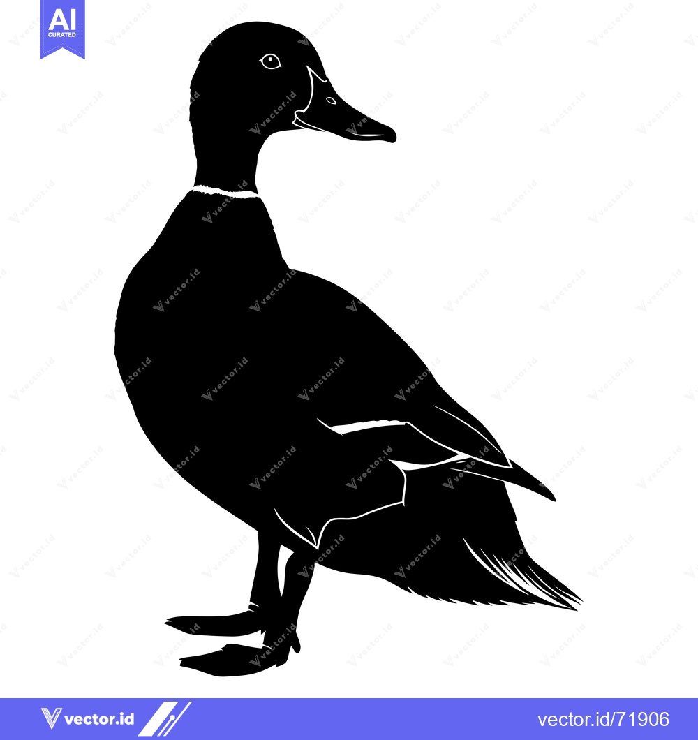 Premium Vector of Black and White Silhouette of a Duck Standing on One Leg