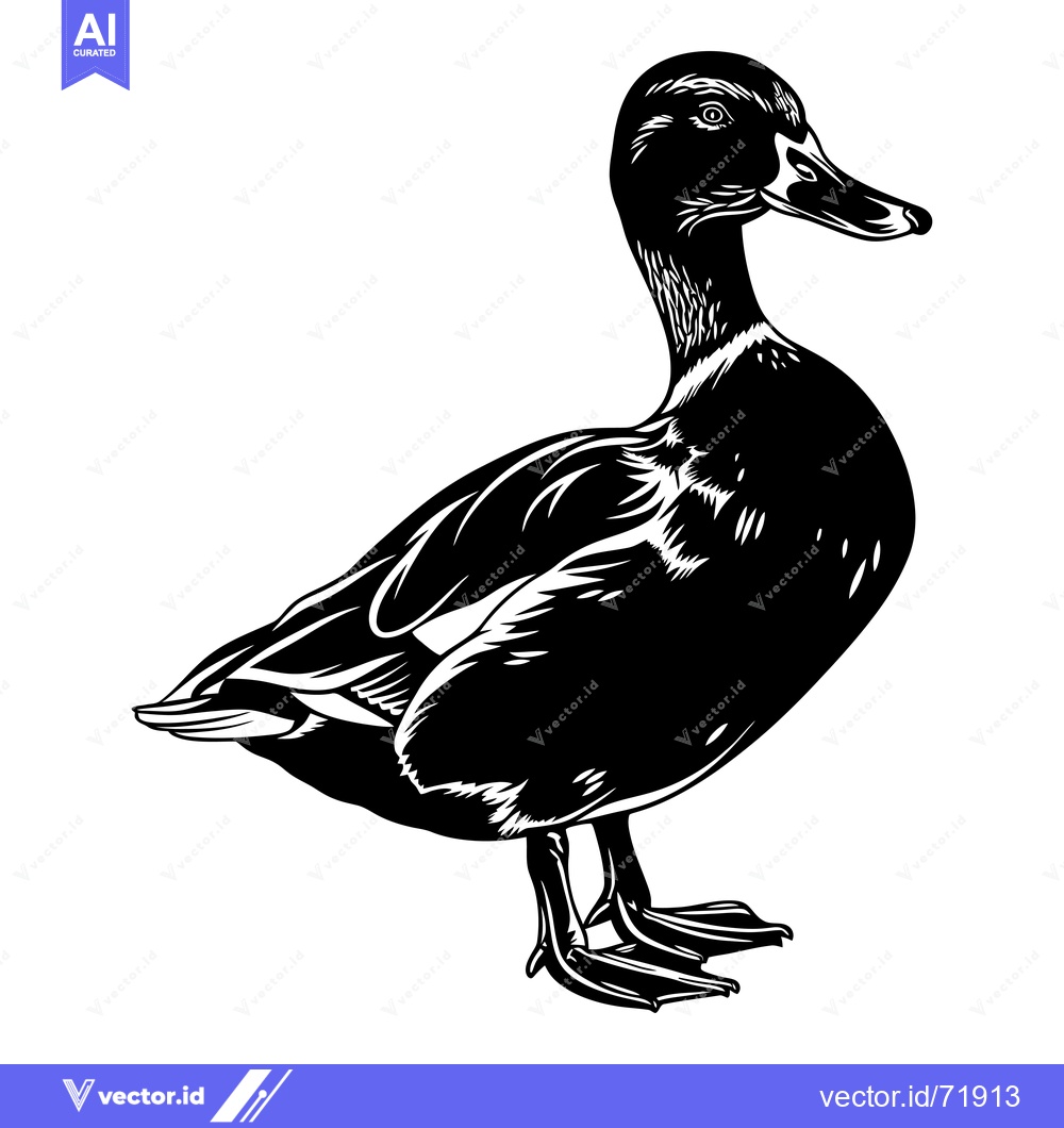 Premium Vector of Black and White Illustration of a Duck