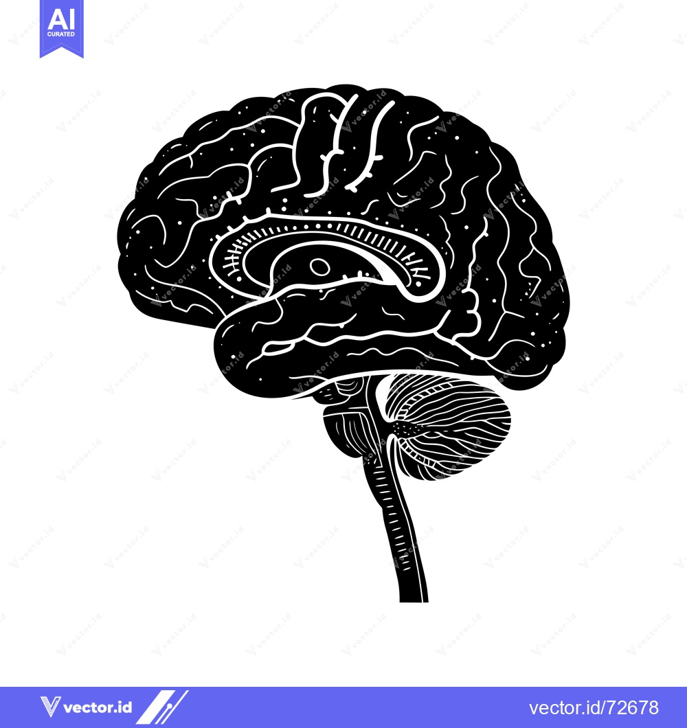 Premium Vector dari Detailed Illustration of the Human Brain in Black and White