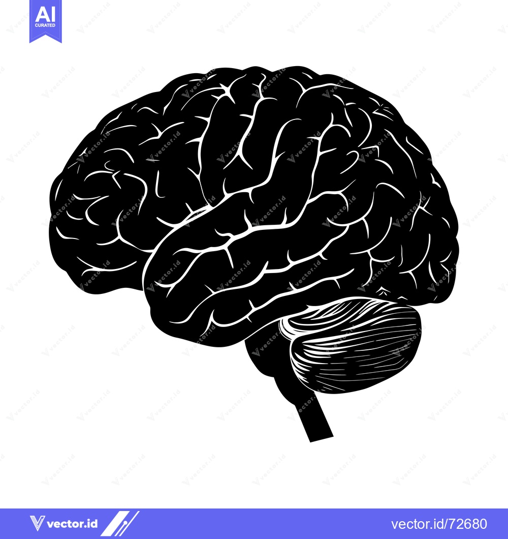 Premium Vector of A detailed silhouette of the human brain in black and white.
