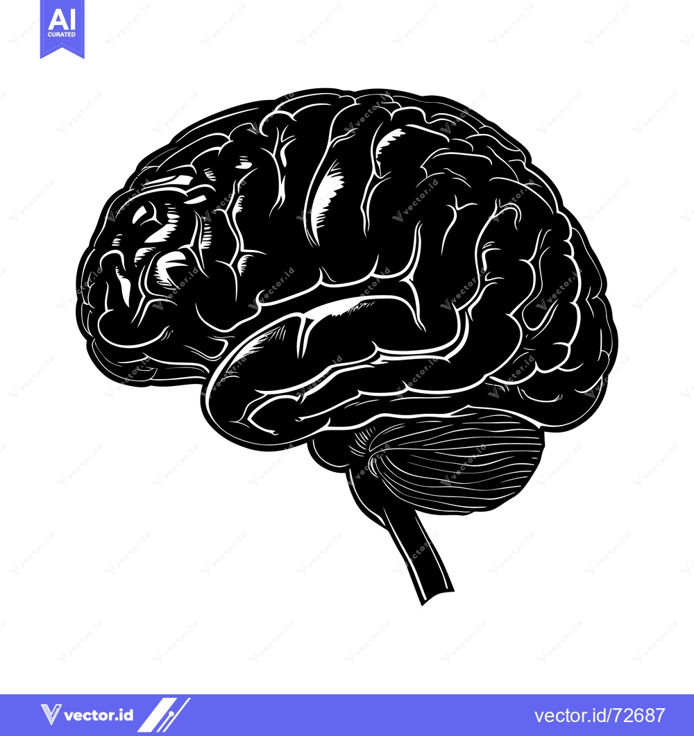 Premium Vector of Black and White Illustration of a Human Brain in Profile
