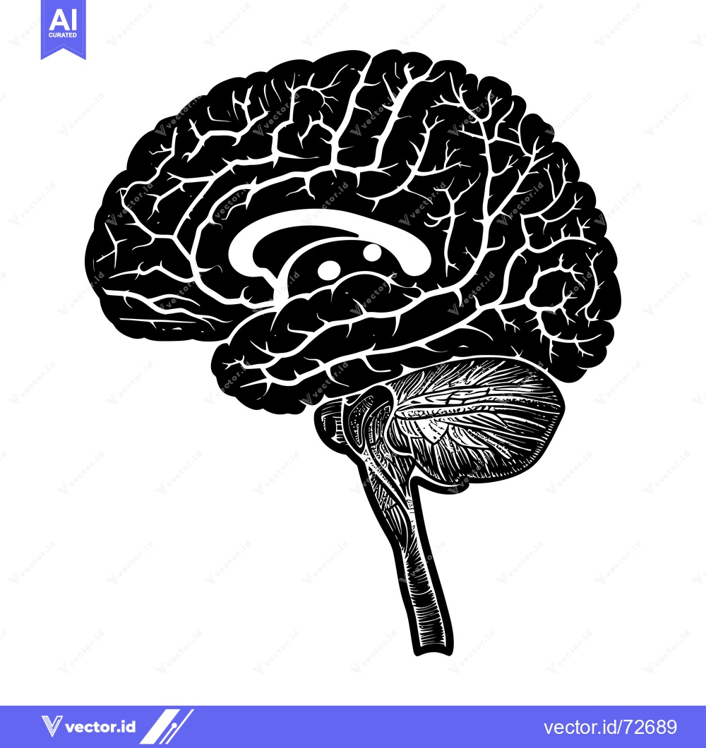 Premium Vector of Detailed Illustration of the Human Brain in Black and White