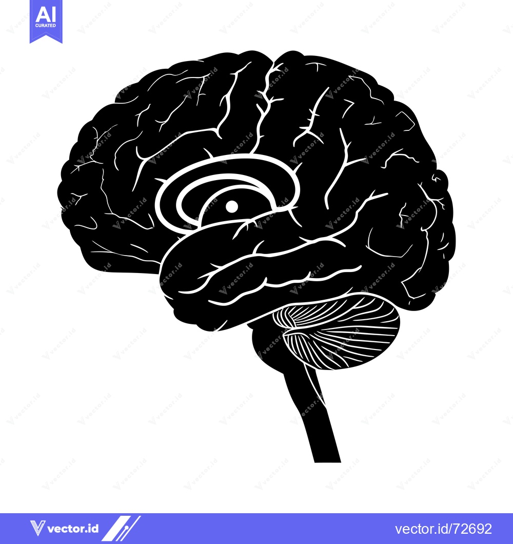 Premium Vector dari Black and White Silhouette of a Human Brain with Detailed Anatomy