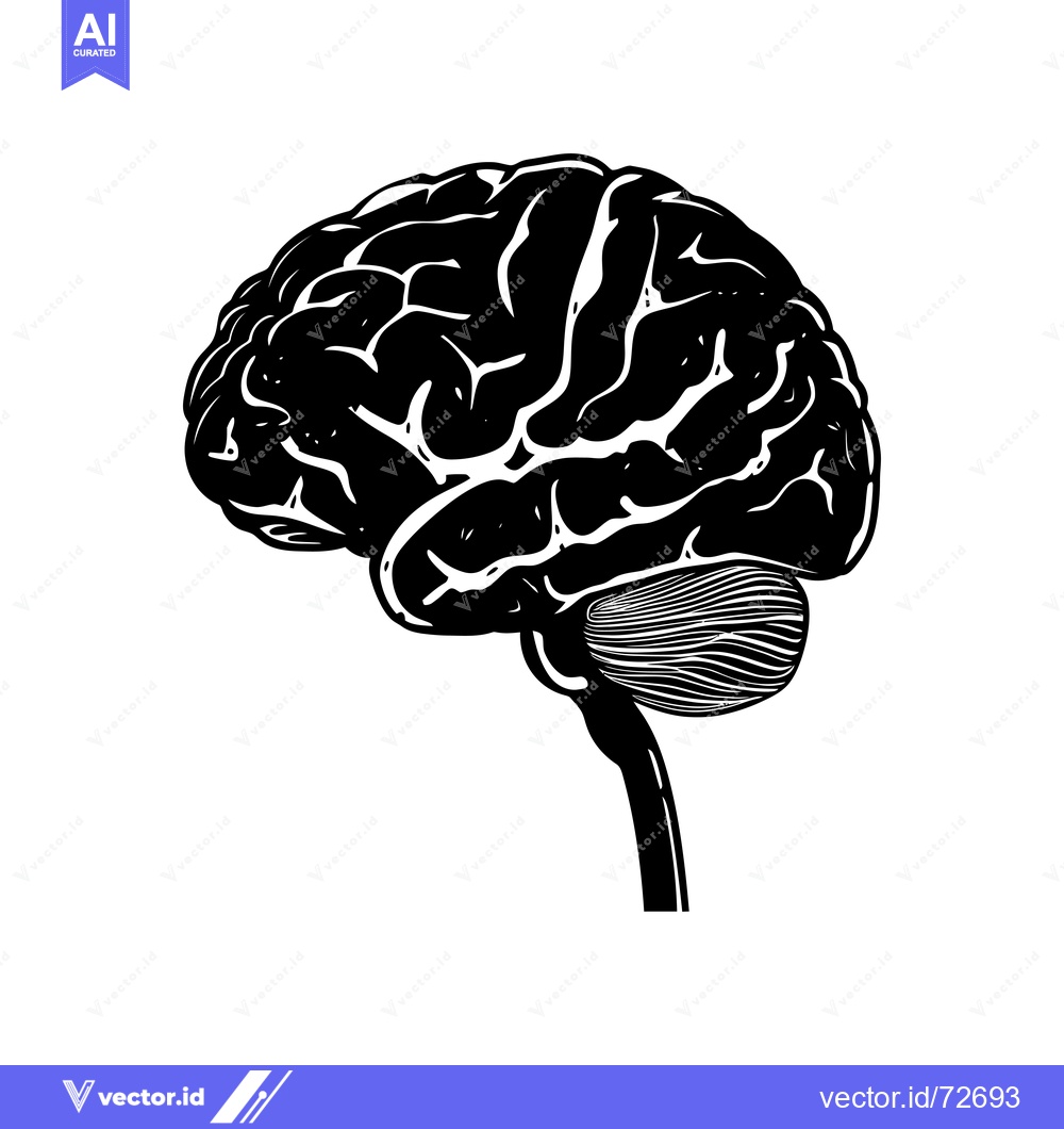 Premium Vector of Black and White Illustration of a Human Brain in Side View
