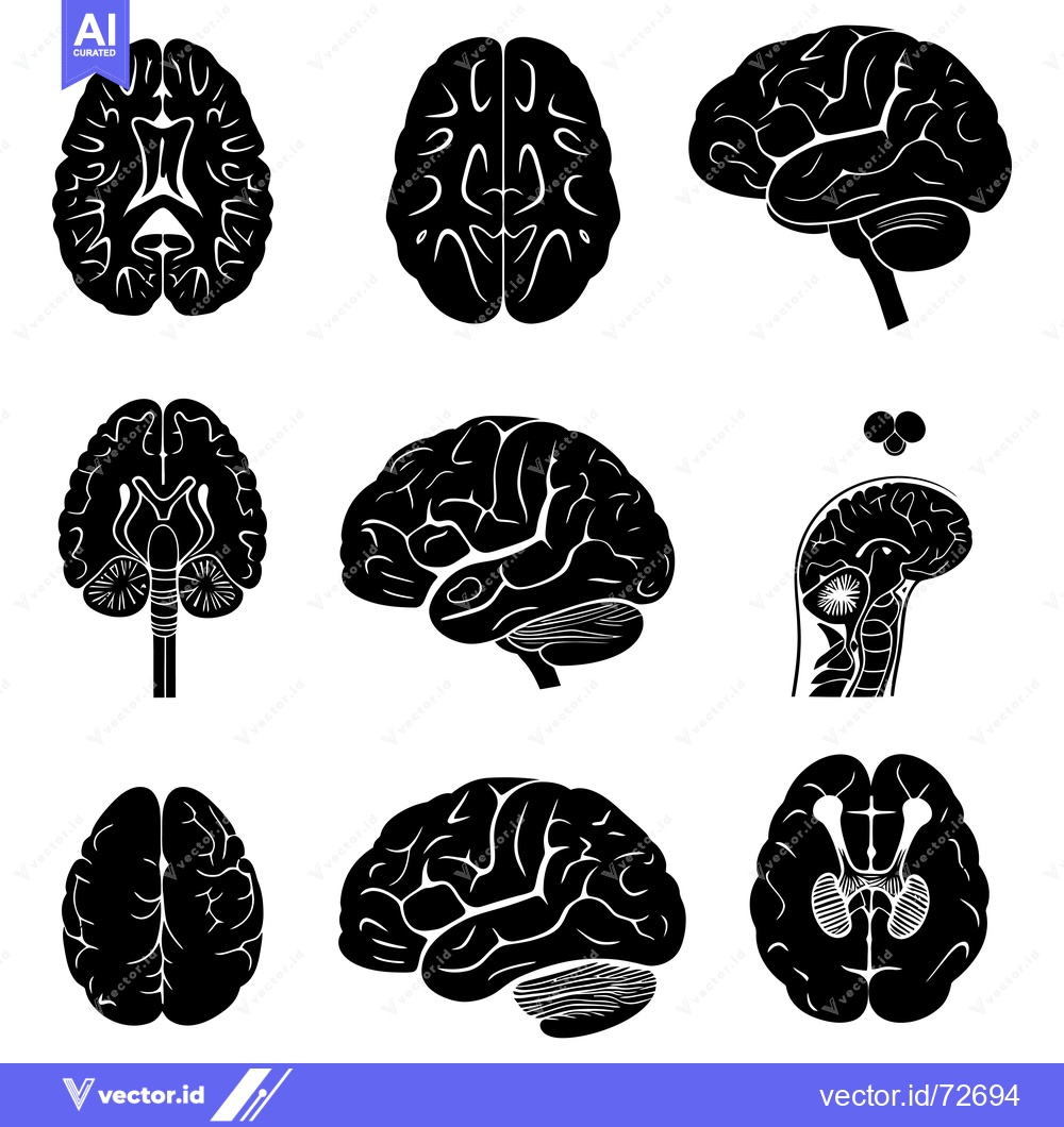 Premium Vector dari Nine Black and White Illustrations of the Human Brain