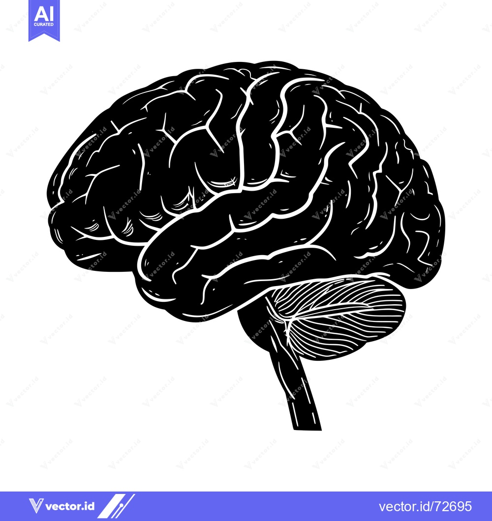 Premium Vector dari A black and white silhouette of a human brain, side view.