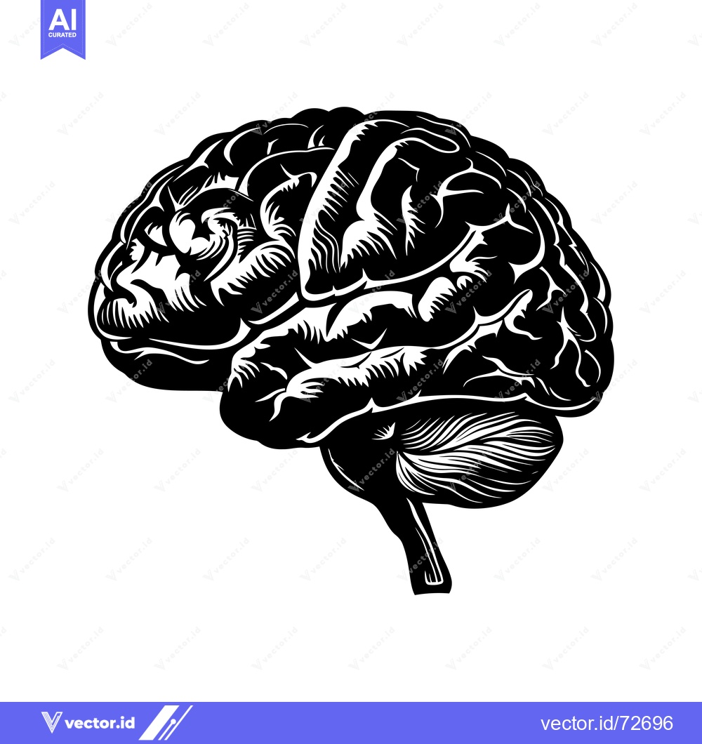 Premium Vector dari A Detailed Black and White Illustration of a Human Brain