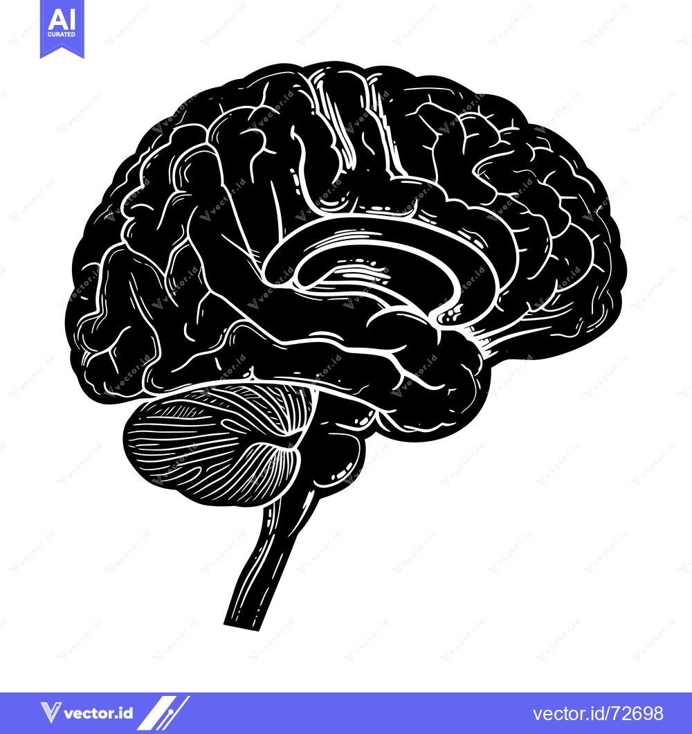 Premium Vector dari A Detailed Black and White Illustration of a Human Brain