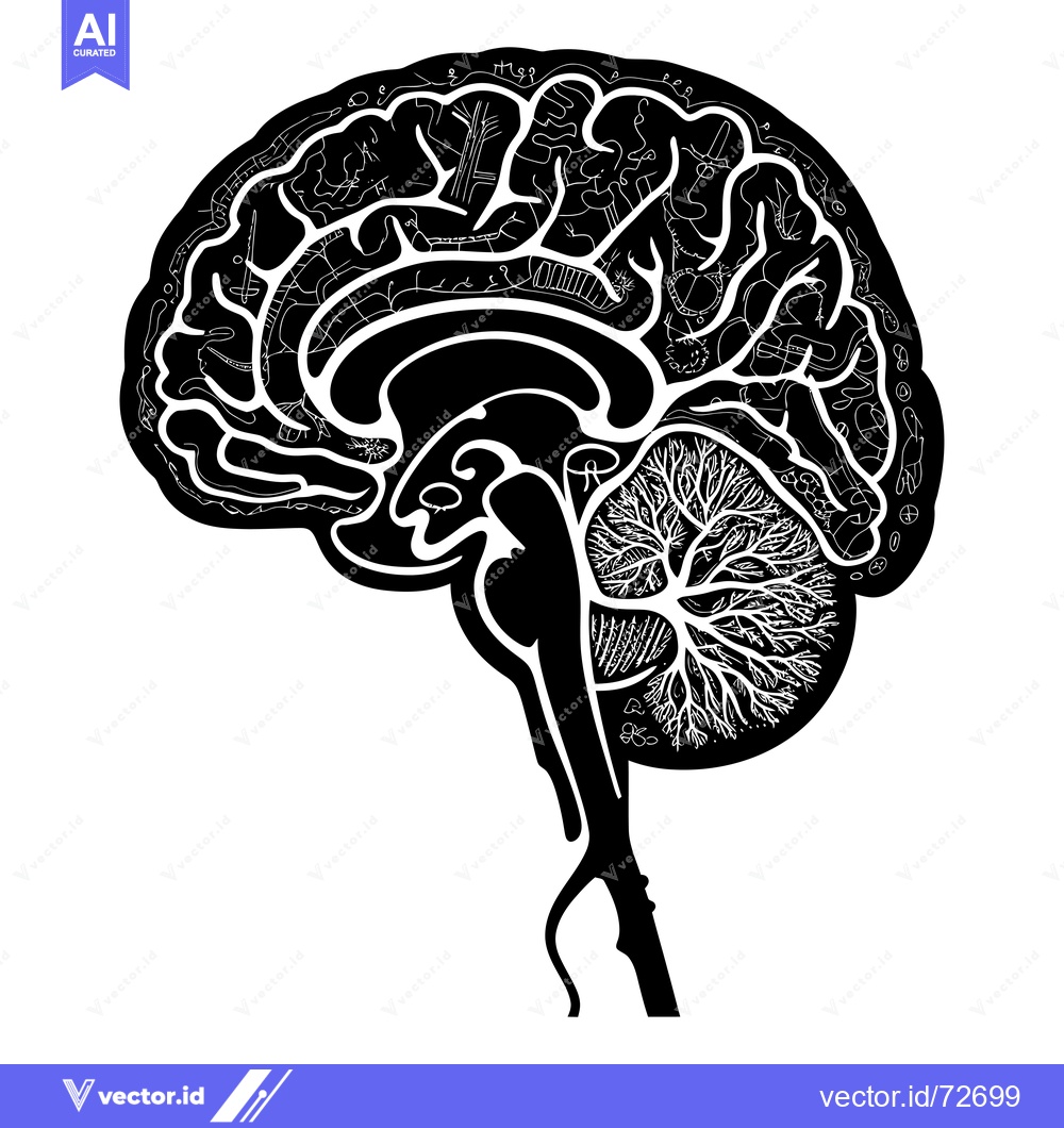 Premium Vector dari A Black and White Illustration of a Human Brain with Detailed Internal