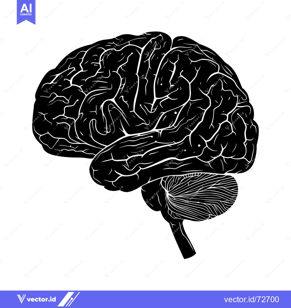 Premium Vector dari Detailed Silhouette of a Human Brain in Side View