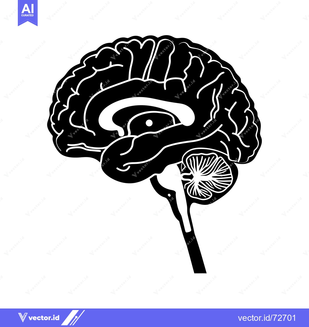 Premium Vector of Black and White Illustration of a Human Brain with Detailed Internal S