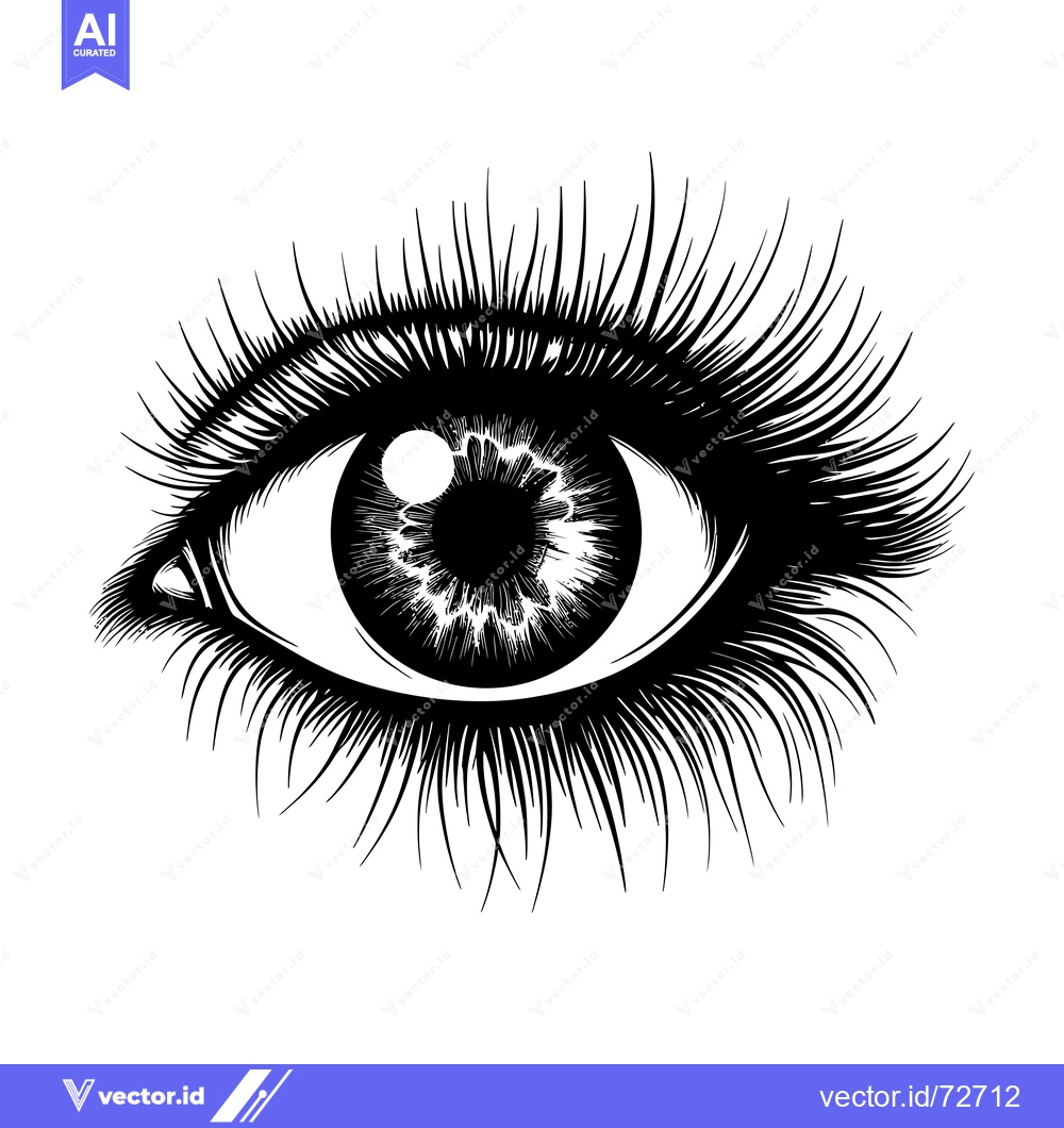Premium Vector of A Detailed Black and White Illustration of a Human Eye with Eyelashes