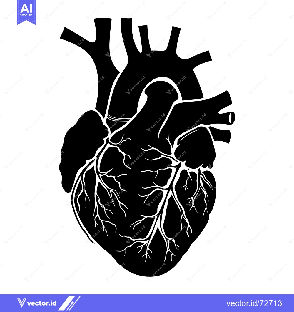 Premium Vector dari Anatomical Illustration of a Human Heart in Black Silhouette