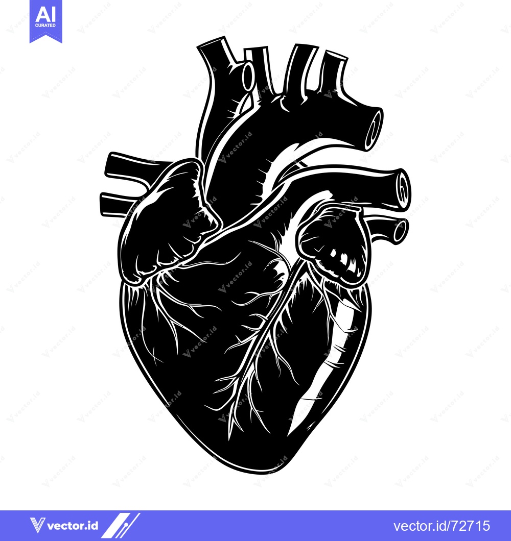 Premium Vector of Detailed Black and White Illustration of a Human Heart