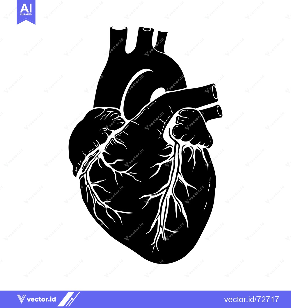 Premium Vector dari Black and White Illustration of a Human Heart