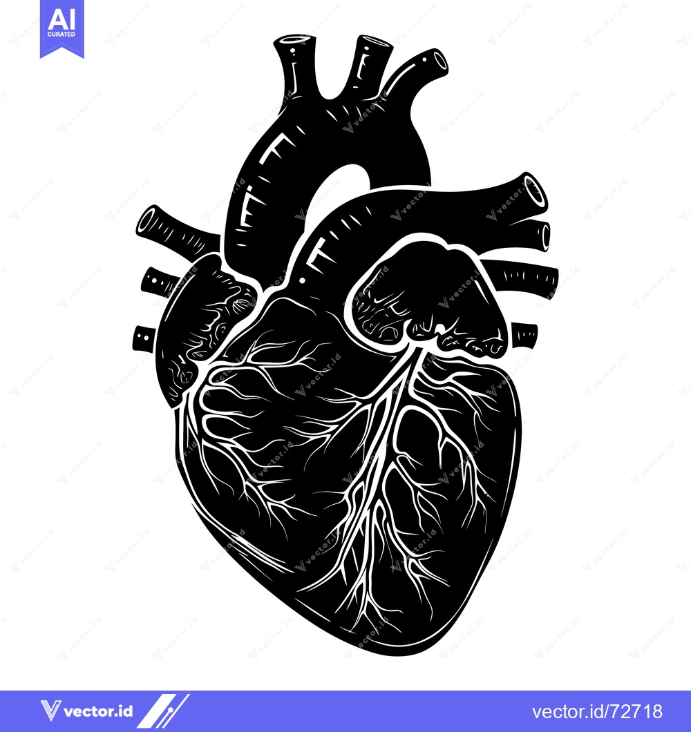 Premium Vector of Anatomical Illustration of a Human Heart in Silhouette