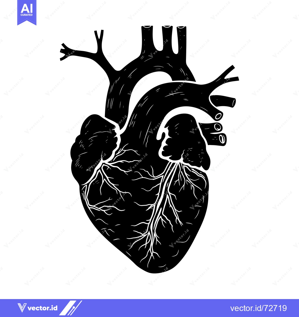 Premium Vector dari Hand-drawn illustration of a black human heart with visible veins and