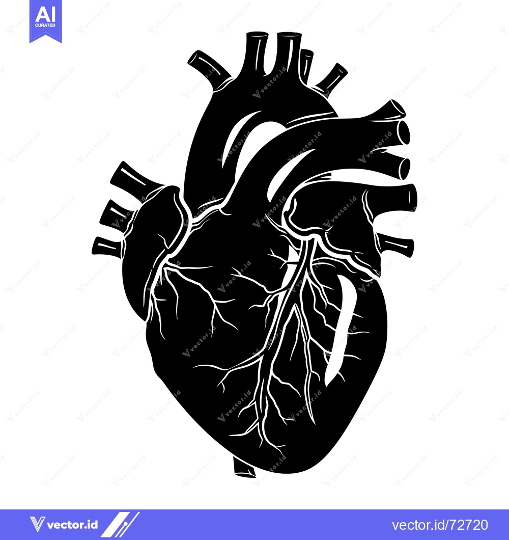 Premium Vector dari A Black and White Illustration of a Human Heart