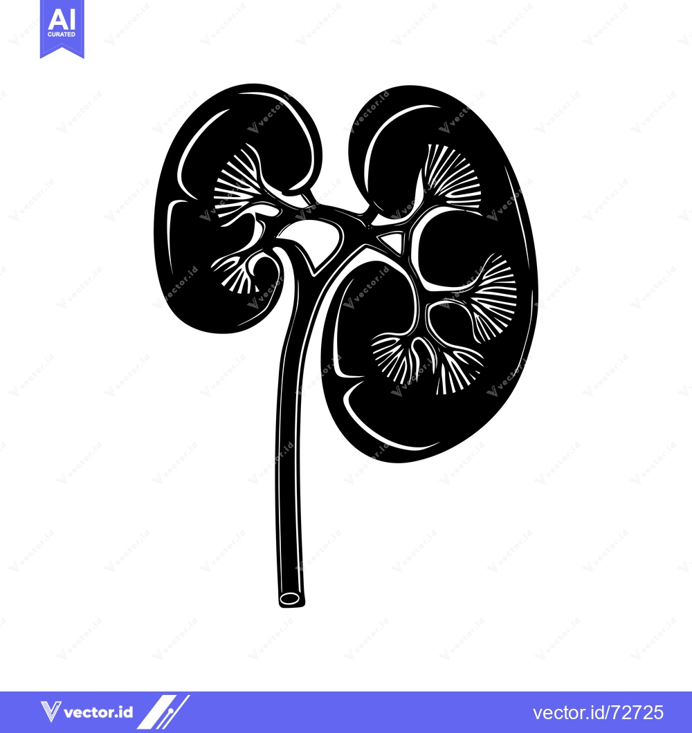 Premium Vector dari Black and White Illustration of Human Kidneys