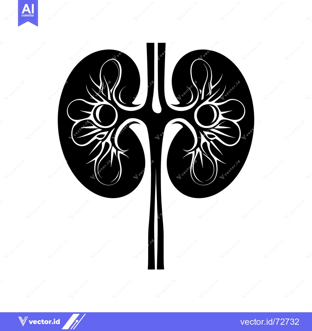 Premium Vector of Stylized Black and White Illustration of Human Kidneys