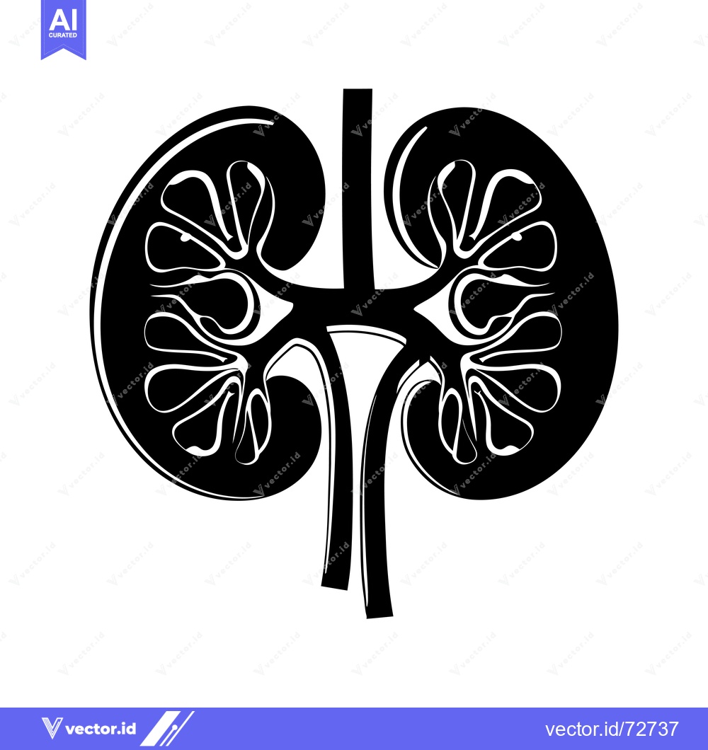 Premium Vector dari Black and White Illustration of Human Kidneys