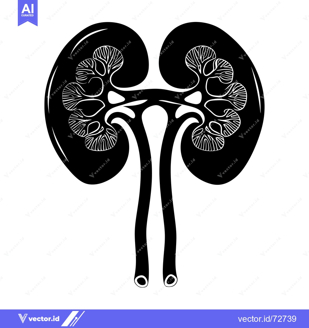 Premium Vector dari Black and White Illustration of Human Kidneys