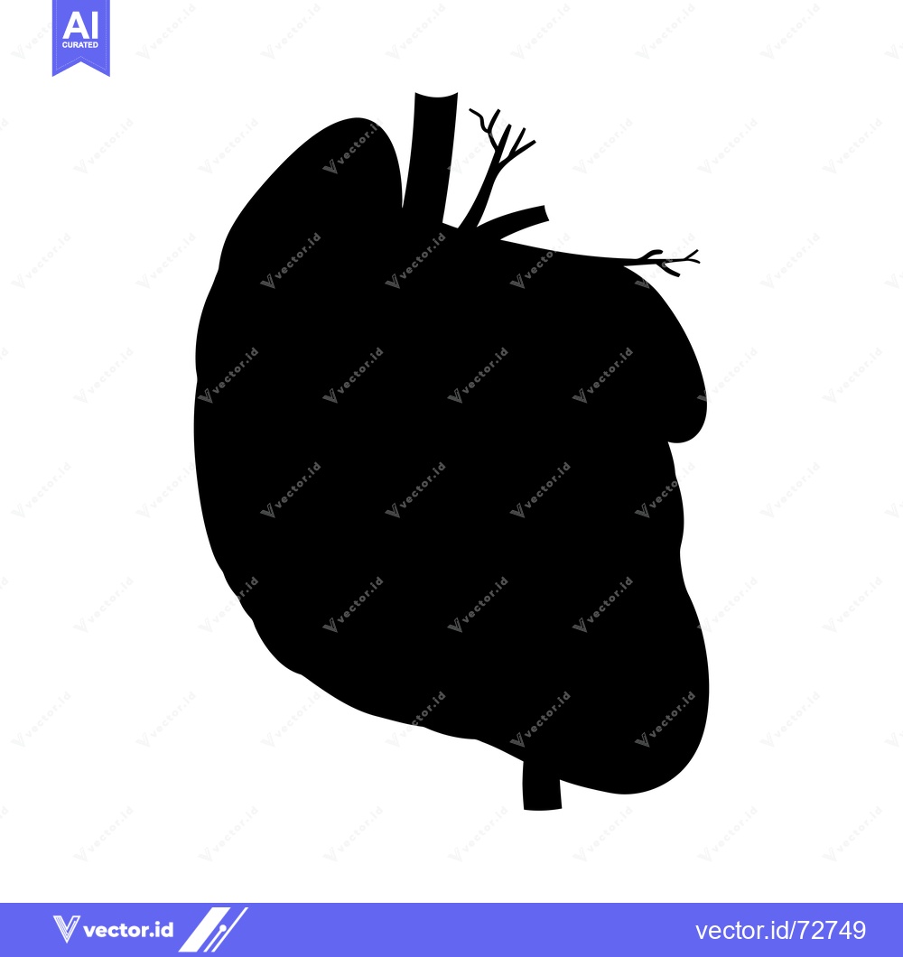 Premium Vector dari Silhouette of a Human Liver with Blood Vessels