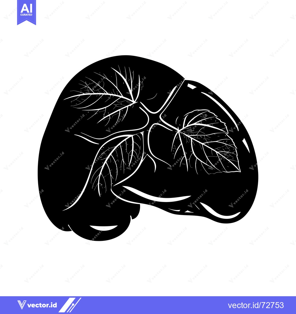 Premium Vector of Black and White Silhouette of a Human Liver with Intricate Vein Struct