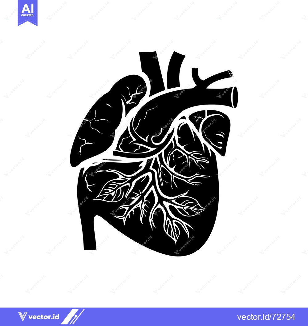 Premium Vector dari A Black and White Illustration of a Heart with Veins and Arteries