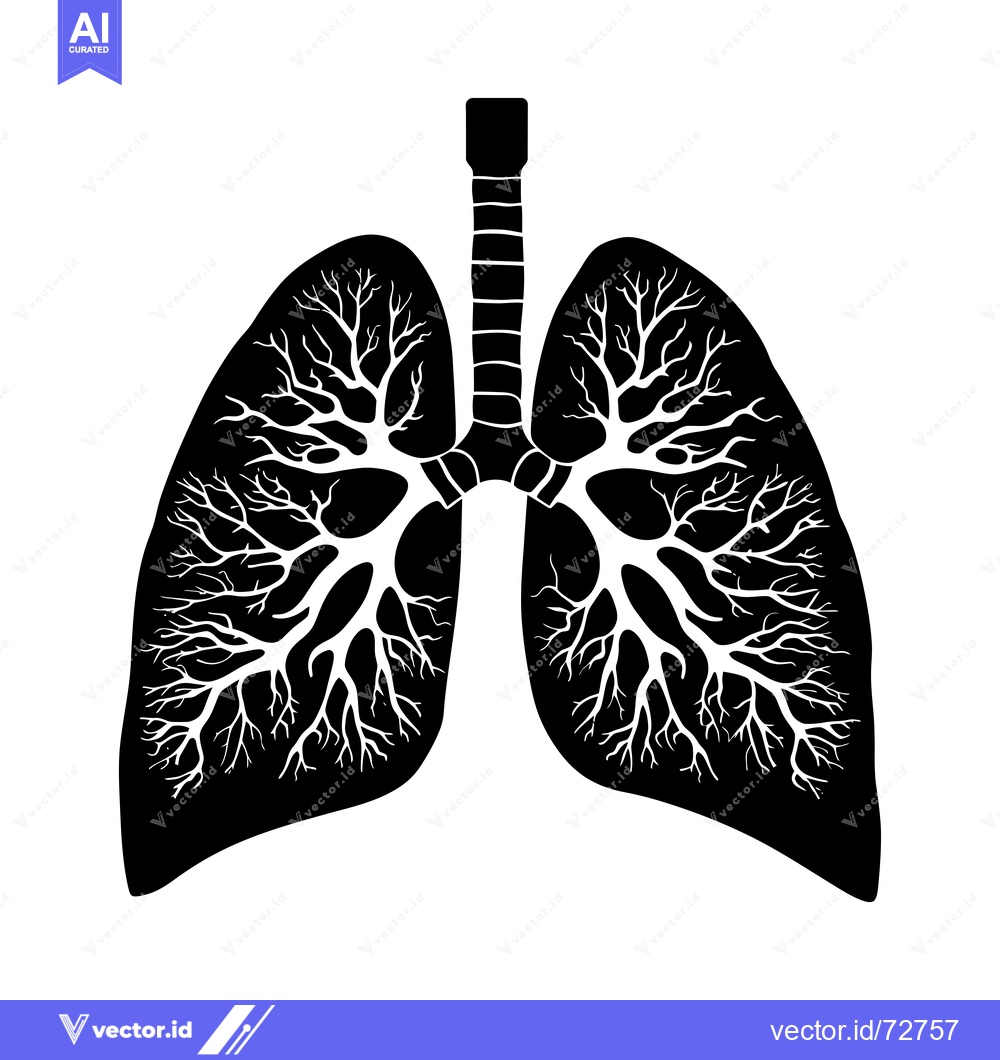Premium Vector of Black and White Illustration of Human Lungs with Branching Airway Syst