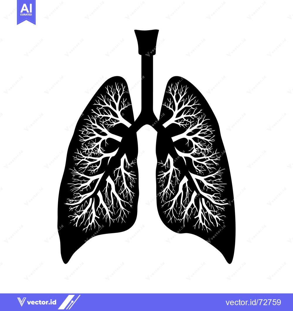 Premium Vector dari Black and White Illustration of Human Lungs with Detailed Branching Br