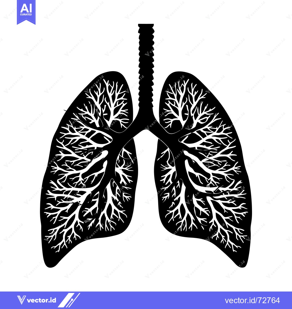 Premium Vector dari Black and White Silhouette of a Detailed Human Lung