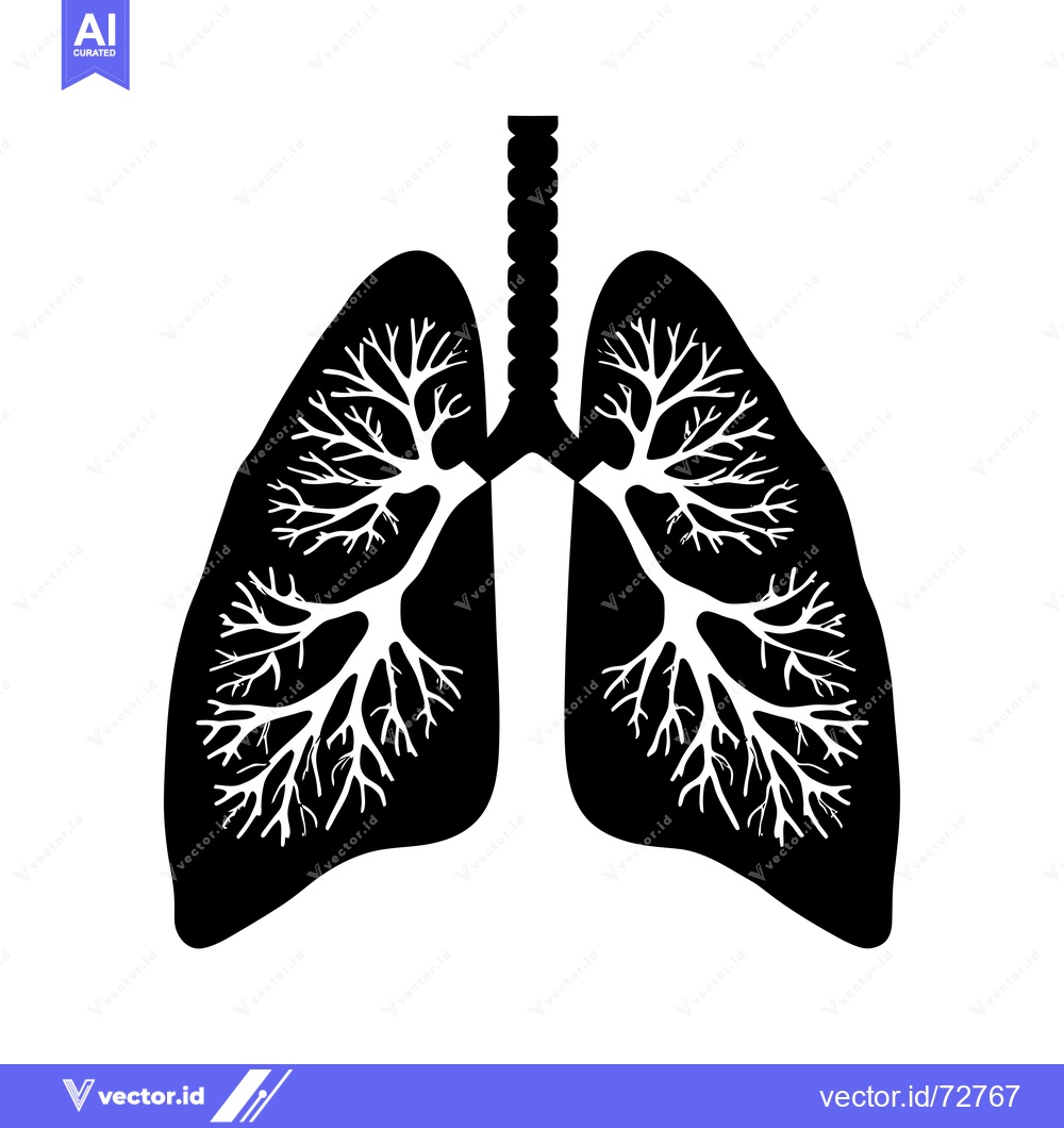 Premium Vector dari Black and White Silhouette of Human Lungs with Detailed Bronchial Tree