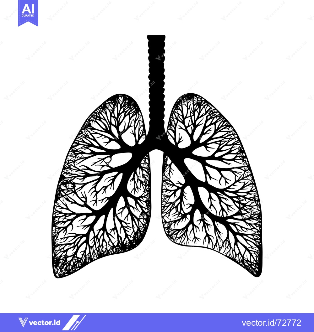 Premium Vector dari Black and White Illustration of Human Lungs with Branch-Like Structure