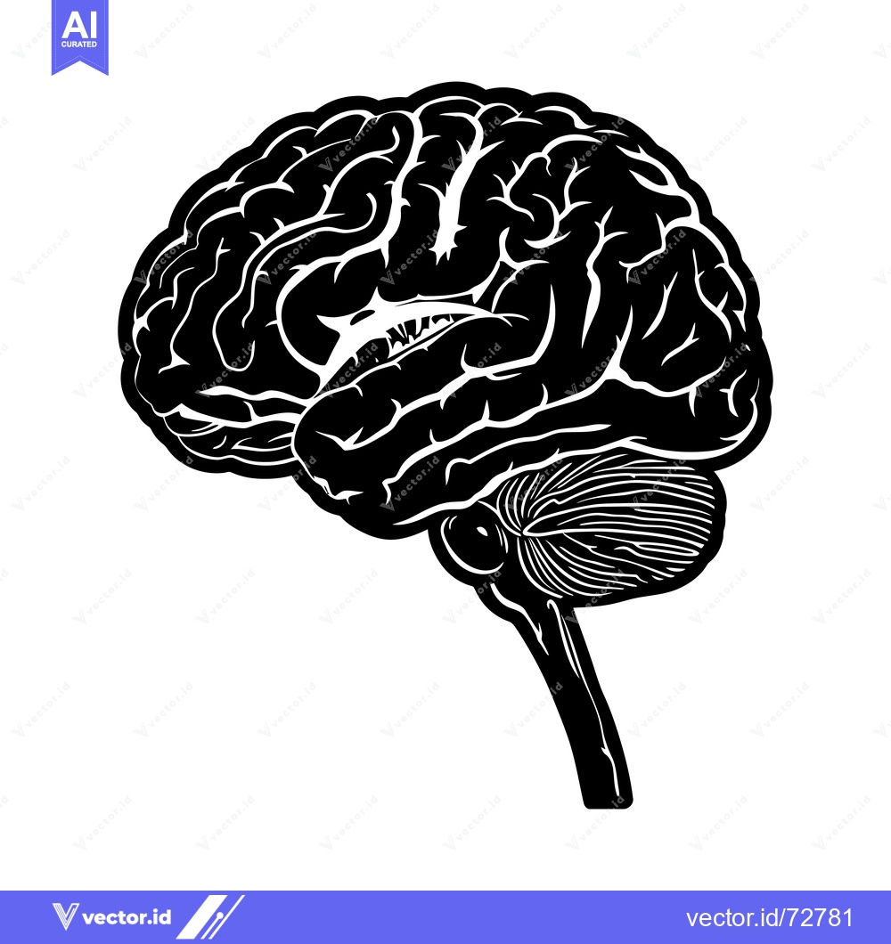 Premium Vector dari A Detailed Black and White Illustration of a Human Brain