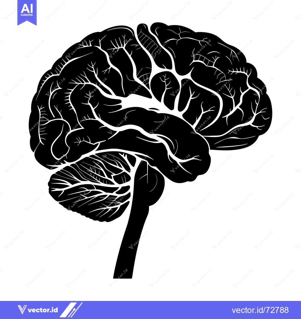 Premium Vector of A detailed black and white silhouette of the human brain