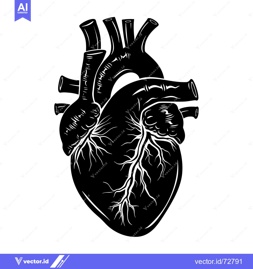 Premium Vector dari A Detailed Black and White Illustration of a Human Heart