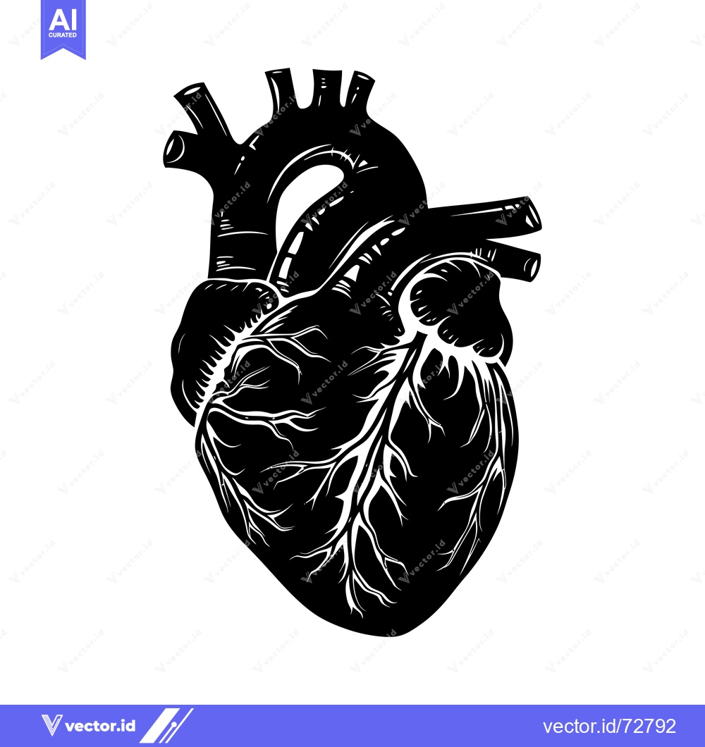 Premium Vector dari Anatomical Illustration of a Human Heart