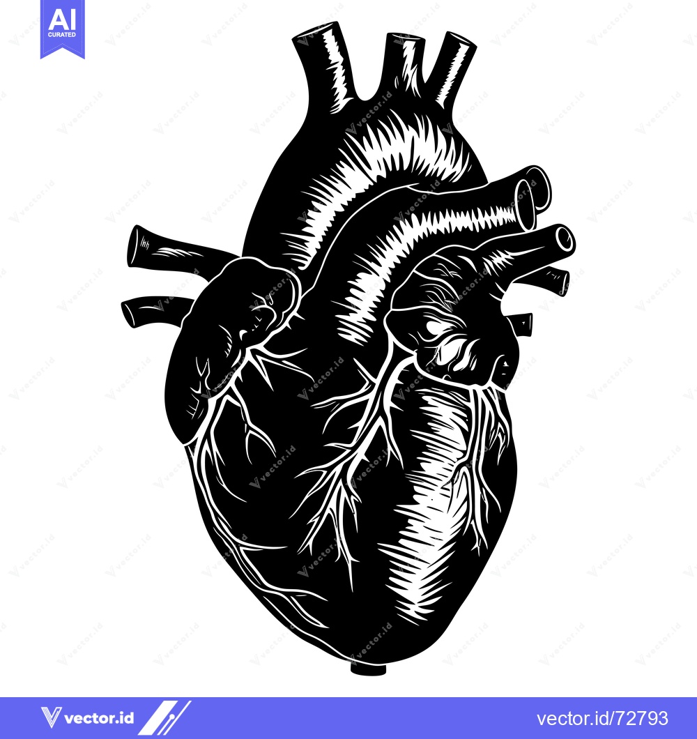 Premium Vector dari A Black and White Illustration of a Human Heart