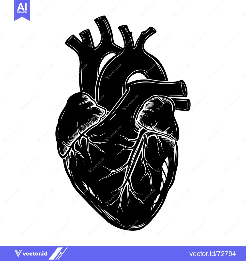 Premium Vector dari Black and White Anatomical Illustration of a Human Heart