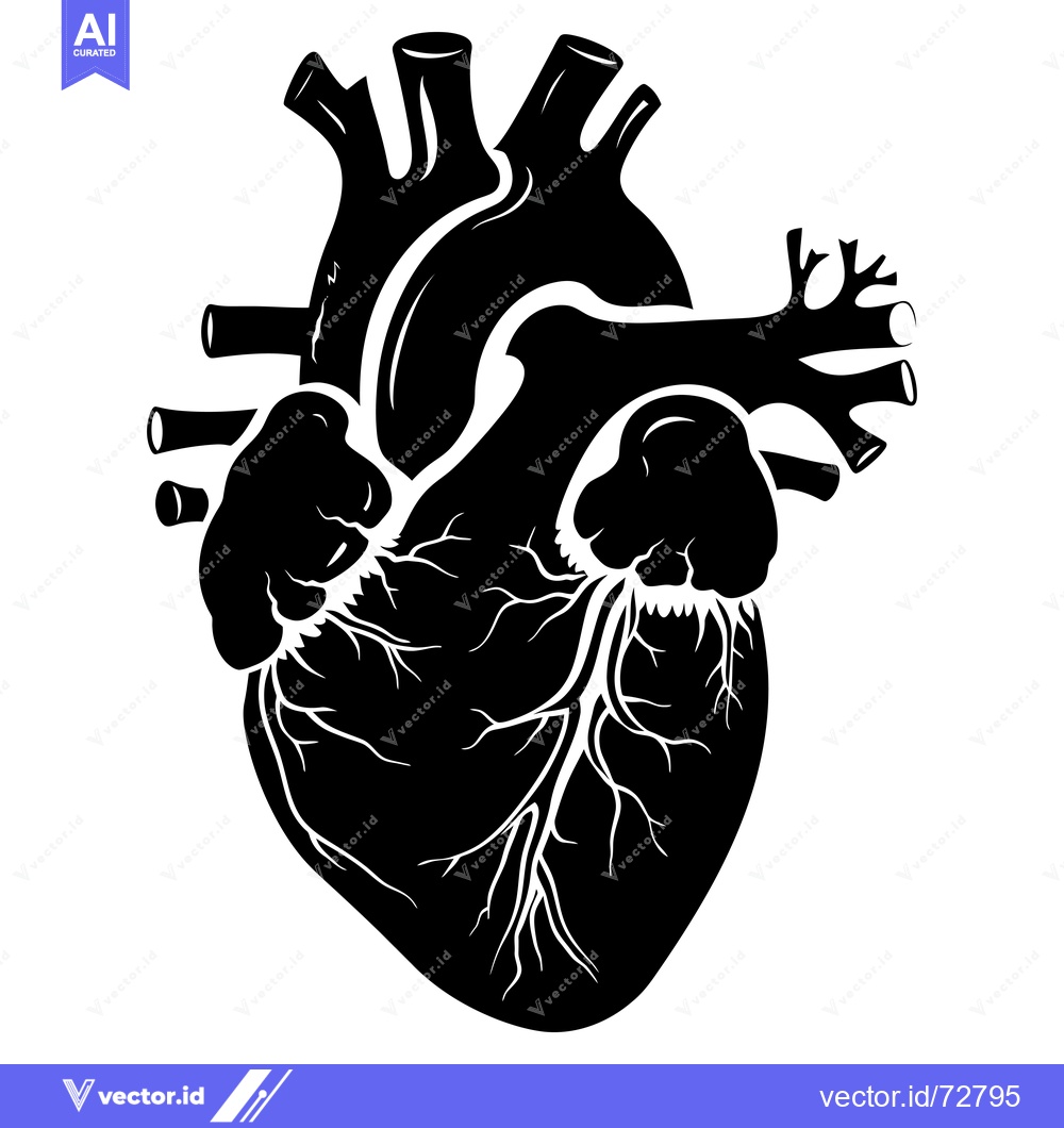 Premium Vector dari Anatomical Illustration of a Human Heart in Silhouette