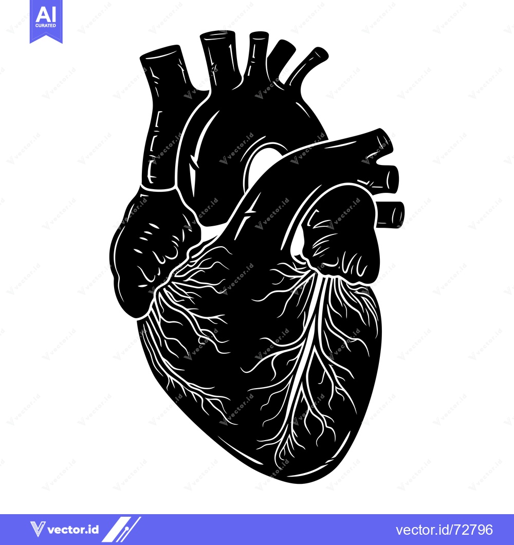 Premium Vector of A Detailed Anatomical Illustration of a Human Heart in Silhouette