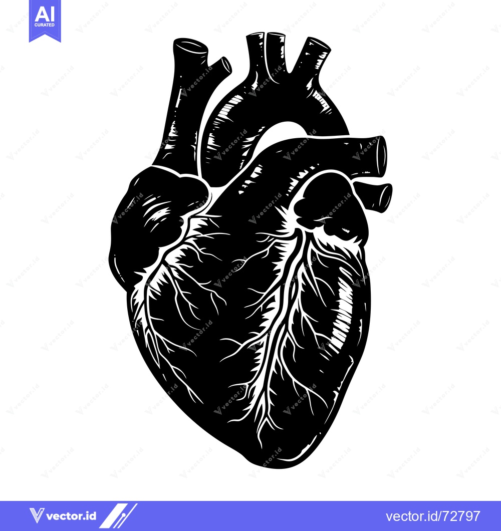 Premium Vector of A Detailed Illustration of a Human Heart in Silhouette