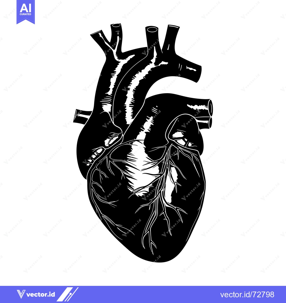 Premium Vector dari Anatomical Illustration of a Human Heart in Silhouette